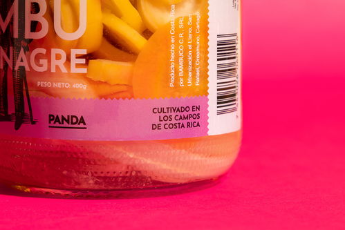 哥斯达黎加 熊猫爷爷 罐头食品包装设计