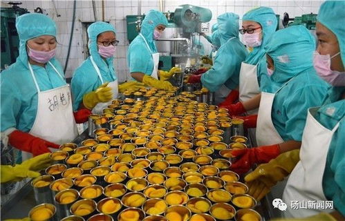 砀山酥梨 精深加工换来高身价